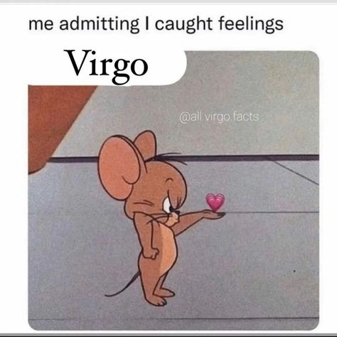 Virgo Memes Truths, Virgo Memes Funny Truths, Virgo Stereotypes, Virgo X Aries, Funny Virgo Quotes Hilarious, Virgo Girlfriend, Virgo + Core + Aesthetic, Virgo Funny, Funny Virgo Quotes