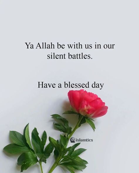 Jummah Kareem, Hello May Quotes, Silent Battles, Jumuah Mubarak Quotes, Greetings For The Day, Morning Sayings, Jumma Mubarik, Durood Shareef, Muslim Greeting