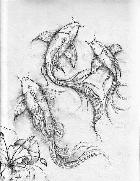 Adult Coloring Page Sketchbook Ideas Doodles, Karp Koi, Cute Sketchbooks, Fish Sketch, Coy Fish, Koi Fish Drawing, Fish Drawing, Koi Art, Koi Fish Tattoo