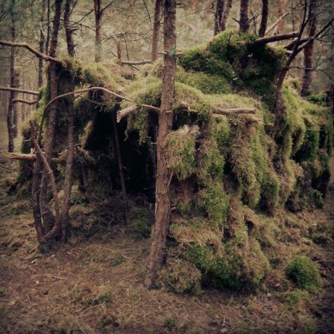 alrauna: © Alrauna - please do not remove credit Forest Hut, Fort Ideas, Forest Vibes, Bushcraft Shelter, Hangout Spot, Survival Shelter, Nice Pictures, Forest Creatures, Fantasy Places