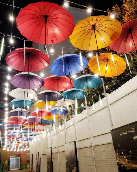 Hanging Umbrellas Photo Print Umbrella Alley Chattanooga - Etsy México Umbrella Alley, Hanging Umbrellas, Gaudi Mosaic, Art Umbrella, Umbrella Photo, Umbrella Decorations, Button Craft, Mudroom Decor, Colorful Umbrellas