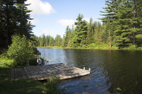 Dock On The Lake. Small dock on lake #Sponsored , #AD, #AD, #Lake, #dock, #Small, #Dock Docks On The Lake, Lake With Dock, Backyard Trees Landscaping, Swamp Landscape, Dock On Lake, Exterior Layout, Lake Scenes, Small Dock, Canada Lake