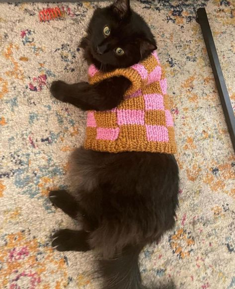 Match your cat with our checkered hand-knit sweater vest! Outfits For Cats, Crochet Ideas Aesthetic, Cat Clothing, Cat Crochet, Flowers Drawing, Design Crochet, Amazing Crochet, Cat Sweater, Aesthetic Cat