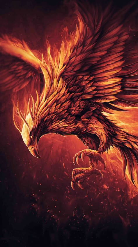 Phoenix Wallpaper, Phoenix Artwork, Pet Dragon, On Wallpaper, Phoenix Tattoo, Phoenix