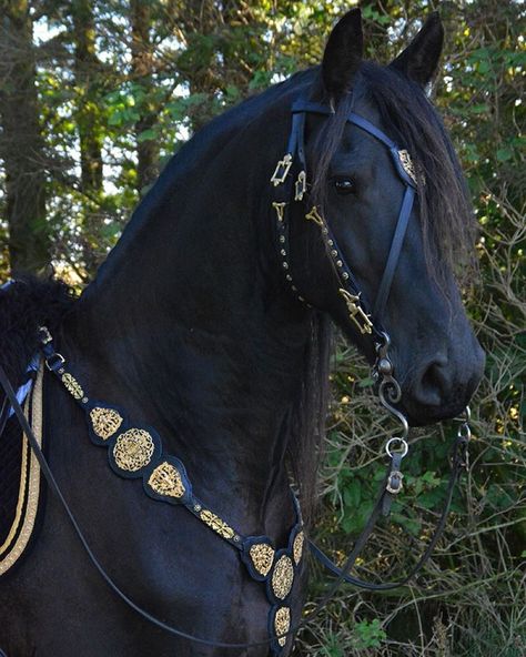 Cai Arabi, Medieval Horse, Cai Sălbatici, طابع بريدي, Horse Costumes, Horse Armor, Enchanted Wood, Fantasy Horses, Horse Bridle