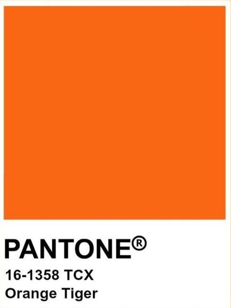 Color Trends 2023, Pantone Orange, Pantone Tcx, Pantone Trends, Pantone Fall, Restaurant Design Inspiration, Pantone Palette, Orange Tiger, Winter 22