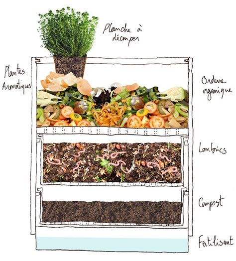 Vermicomposting uses worms to turn organic materials into compost. It’s is an odorless method and this design works well for apartments where outdoor space may not be available. #organic #gardening Worm Farm Diy, Cacing Tanah, Grow Herbs, Worm Composting, Worm Farm, Garden Compost, Herb Planters, Kampot, Organic Materials