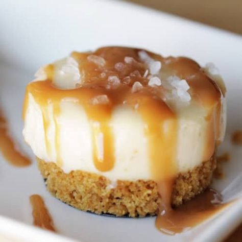 Try making these soft, creamy and delicious Mini Salted Caramel Cheesecakes for parties or any occasion! They are so easy to make and oh so addicting! #minisaltedcaramelcheesecakerecipe #minisaltedcaramelcheesecakeeasy #minisaltedcaramelcheesecakebites Mini Salted Caramel Cheesecake, Caramel Snacks, Mini Caramel Cheesecake, Dessert Mini, Ww Recipe, Salted Caramel Cheesecake, Mini Cheesecake Recipes, Nutella Desserts, Snacks And Desserts