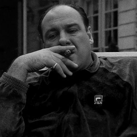 Tony Soprano Aesthetic, Tony Soprano Art, Sopranos Poster, James Gandolfini, Romantic Questions, Tony Soprano, The Sopranos, Goodfellas, Marlon Brando