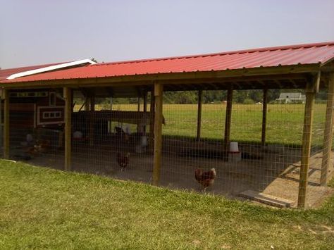 Backyard Chicken Run, Backyard Chicken Coop Diy, Chicken Backyard, Chicken Rearing, Backyard Chicken Coop, Backyard Coop, Chicken Shed, Backyard Chicken Coop Plans, Chicken Coop Run