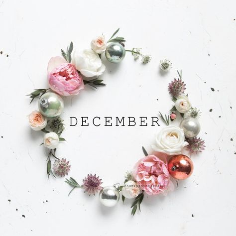 Hello December! I am ready, bring on the festivities!! And if you're ready too I've made my alternative Christmas tree into a free phone screen download via the link in my profile, because It's never too early for a Christmas present from me to you is it? Happy December Hello December Tumblr, December Tumblr, Hello December Images, December Images, Stampin Up Weihnachten, Welcome December, December Wallpaper, Hello November, Happy December