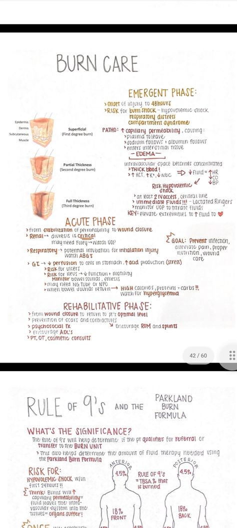 Advanced Emt, Paramedic Study, Nutrition Notes, Types Of Burns, Nbcot Exam, Nursing Knowledge, Er Tech, Burn Care, Medical Assistant Student