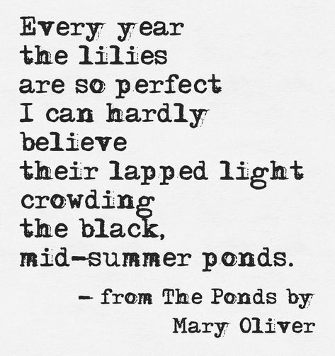 6-5 Mary Oliver Poems, Swan Lake Ballerina, Nature Writing, Frog Pond, Lilly Pad, From The Pond, Lilly Inspired, Watering Hole, Mary Oliver