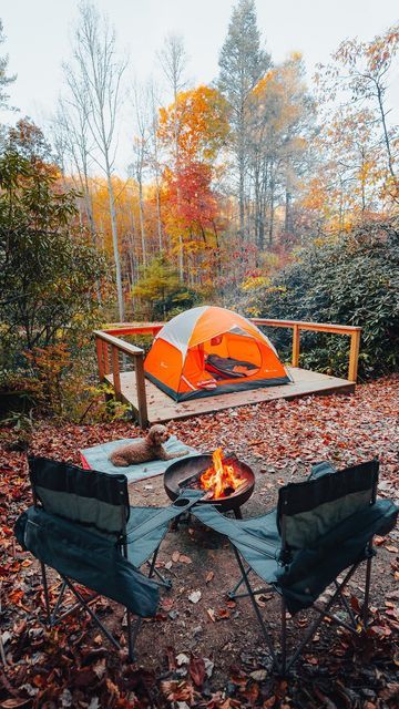 Cate 🏔🏕 Hiking + Travel + Outdoors on Instagram: "🏕️ DuPont Bike Retreat Hipcamp 🏕️ 📝 Save for your 2023 summer camping plans. Direct link in my stories 💛 ⛺️ This @hipcamp is located just minutes from DuPont State Park in North Carolina! The site on the pond is #8 but there are numerous Pond Sites and Hill Top Sites. 🚗 the road down to the Pond Sites is steep and best for vehicles with all wheel or 4x4. The hill top sites are accessible for all vehicles. Best parts include: ⏰ 20 minutes t Camping Vibes, Travel Outdoors, Fall Pictures, Hiking Trip, Camping Trips, North Carolina, Outdoor Gear, Pretty Pictures, State Parks