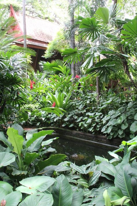 A pond in the rear garden is surrounded by lush foliage Thai Garden, Tropical Garden Plants, Small Tropical Gardens, Bali Garden, Tropical Garden Design, Tropical Backyard, Jim Thompson, Japanese Garden Design, Landscape Design Plans