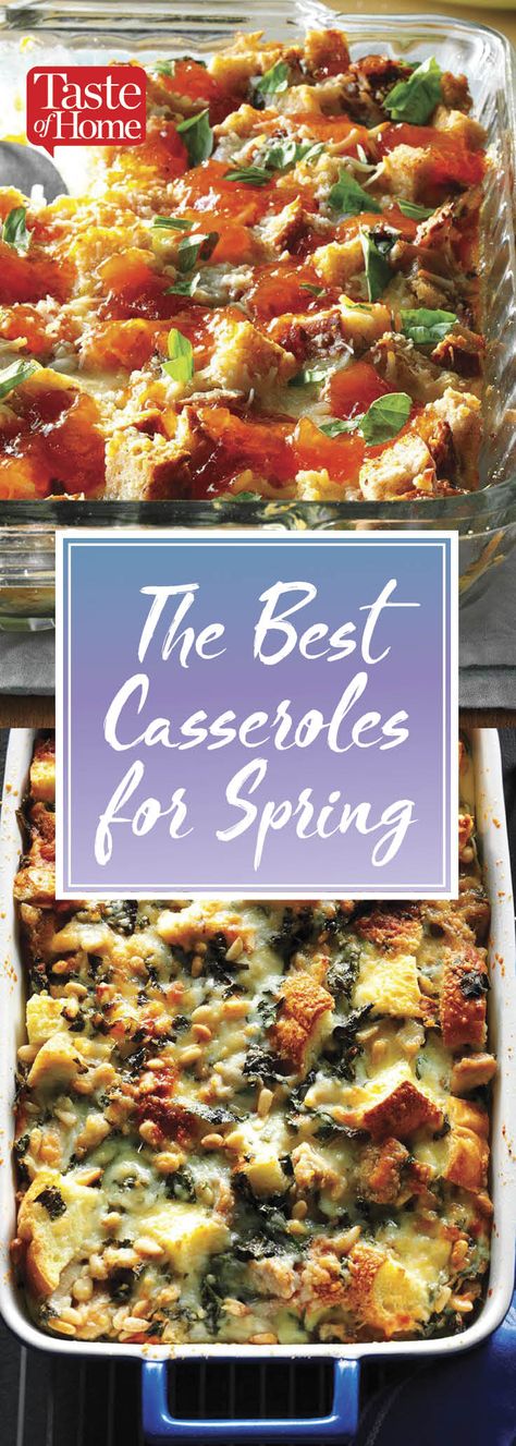 Cauliflower Recipes Casserole, 12 Tomatoes Recipes Casseroles, Squash And Zucchini Recipes Casserole, Mexican Food Recipes Casseroles, Squash Recipes Casserole, Zucchini Recipes Casserole, Fall Dinner Casseroles, Chicken Breast Recipes Casserole, Brocoli Casserole Recipes