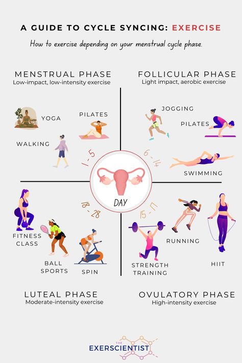 Interested in cycle syncing? Try these that align with your menstrual cycle. Remember to listen to your body. You can train whatever you want, whenever you want, but these ideas can give you a helping hand when choosing what feels best. Luteal phase, follicular phase, ovulatory phase, menstrual phase. #fitness #exercise #menstrualcycle Ovulatory Phase, Hormone Nutrition, Menstrual Phase, Menstrual Cycle Phases, Follicular Phase, Period Cycle, Luteal Phase, Cycle Syncing, Fertility Health