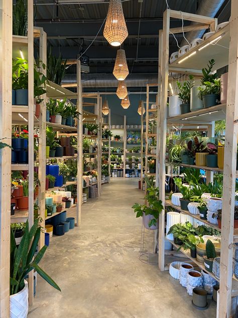 Furniture Warehouse, Plant Nursery, Backyard Decor, Retail Design, Flower Shop, Room Divider, Nursery, Plants, Flowers