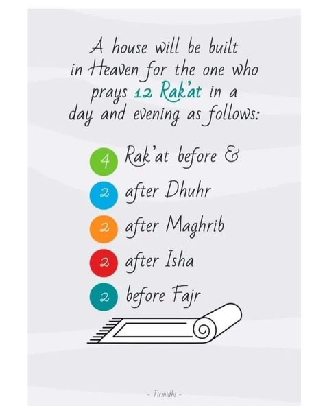 🌺Sunnah Prayer The Prophet (ﷺ) as saying: “If anyone prays in a day and a night twelve rak'ahs voluntarily (supererogatory prayer), a house will be built from him in Paradise on account of these (rak'ahs).” (1) - 2 before the Fajr - 4 Rak'at before and 2 after Dhuhr - 2 after the Maghrib - 2 after the Isha “The Sunnah prayers after the obligatory prayers were legislated to make up for the deficiency in the obligatory prayer, and the Sunnah prayers before the obligatory prayers are to c... How To Pray Dhuhr, Pray 5 Times A Day Islam, 5 Prayers Islam Time, After Prayer Dhikr, Daily Dikhr Islam, Surah After Every Namaz, Sunnah Prayers