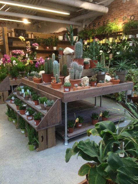 Notcutts - Pembury - Garden Centre - D&P - Lifestyle - Layout - Customer Journey - Landscape - Visual Merchandising - www.clearretailgroup.eu Garden Center Displays, Flower Shop Design, Luxury Garden Furniture, Meteor Garden 2018, Garden Tool Storage, 카페 인테리어 디자인, Magic Garden, Luxury Garden, Patio Diy