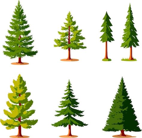 Vector different type of vector cartoon ... | Premium Vector #Freepik #vector Pine Tree Cartoon, Cartoon Trees, Vector Cartoon, Tree Illustration, Tree Designs, Pine Tree, Vector Photo, Creative Projects, Premium Vector