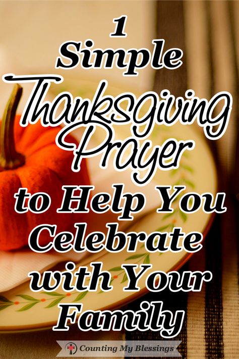 As we prepare to celebrate, here is a simple Thanksgiving Prayer that will help you thank and praise God for His love and generous blessings. #ThanksgivingPrayer #Thanksgiving #Psalms #Blessings Thanksgiving Psalms, Thanksgiving Prayers For Family, Dinner Prayer, Thanksgiving History, Counting My Blessings, Simple Thanksgiving, Thanksgiving Prayer, Thanksgiving Blessings, Simple Prayers