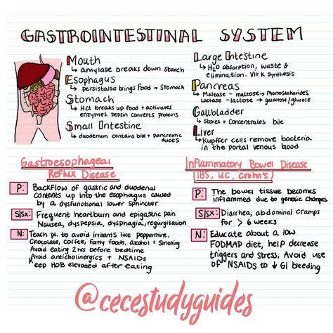 Genitourinary System Nursing, Upper Gi Nursing, Gi Disorders Nursing, Nursing Gastrointestinal Disorders, Gastrointestinal Nursing Notes, Med Surg Gi Disorders, Upper Gi Disorders Nursing Students, Gerd Nursing Notes, Gi Nursing Notes