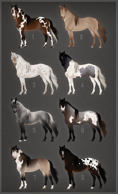 Horse Art Ideas, Horse Animation, Horse Markings, Horse Art Drawing, Horse Coat Colors, Cute Horse Pictures, Horse Sketch, Fantasy Horses, Horse Artwork