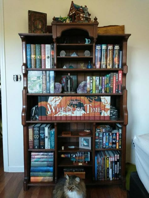 Antique Bookshelf Aesthetic, Bookshelf Fantasy Bookshelves, Fantasy Library Decor, Dnd Bookshelf, Whimsigoth Bookshelf, Fantasy Bookcase, Fantasy Bookshelf Decor, Cottage Core Bookshelf, Fancy Bookshelf