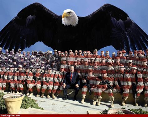 Protect all who serve ♥ Military Flag, Independance Day, Bald Eagles, Military Pictures, Fancy Nancy, United We Stand, Support Our Troops, Everyday Heroes, Us Soldiers