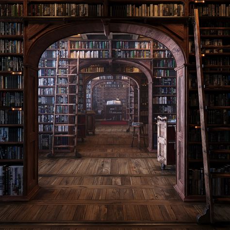 Gothic Farmhouse, Person Model, Old School Aesthetic, Dream Library, Library Aesthetic, Dark Academia Aesthetic, Academia Aesthetic, Reading Room, Brown Aesthetic