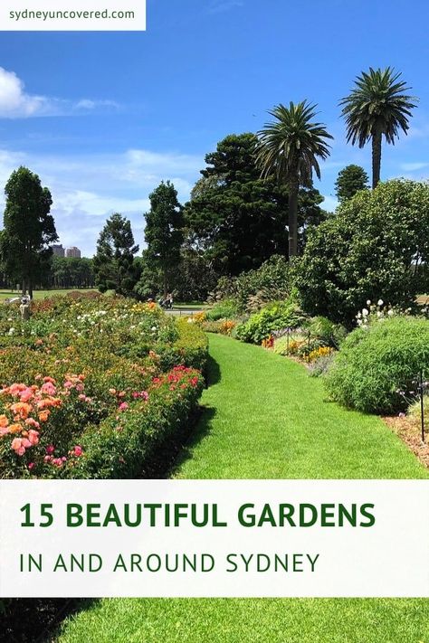 15 Beautiful Gardens in Sydney You Need to Visit Bible Garden, Royal Botanic Gardens Sydney, Sydney Gardens, Visit Sydney, Australian Native Plants, Pot Plants, Most Beautiful Gardens, Chinese Garden, Beautiful Sights