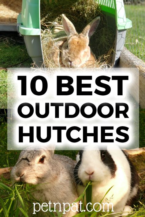 10 Best Outdoor Rabbit Hutches To Keep Your Bunny Safe #bunny #rabbit #rabbithutch #hutch #animals #pets Wild Bunny House Outdoor, Outdoor Bunny Hutch, Diy Bunny Hutch, Bunny Hutches, Large Hutch, Rabbit Cages Outdoor, Diy Hutch, Rabbit Hutch And Run, Diy Rabbit Cage