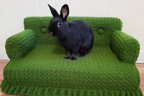 Who Says This Crochet Cat Couch Can't Moonlight As A Rabbit Sofa For A Cute House Bunny? Not This Gal via @crochetverse #crochet #handmade #diy 🐰 Crochet Cat Couch, House Bunny, Bunny Beds, Cat Couch, Crochet Hack, Bunny House, Knitted Cat, Cute House, Crochet Bunny