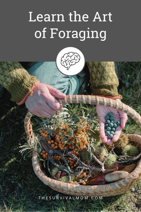 How to Forage: Feed Yourself With Wild Foods - Survival Mom Identify Plants, Wild Foraging, Wild Food Foraging, Emergency Food Storage, Edible Wild Plants, Food Medicine, Healing Plants, Prepper Survival, Wild Edibles