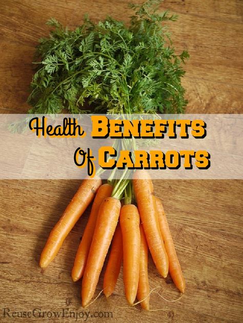 Do you love crunching on carrots? Did you know they are a super healthy power food? Check out the Health Benefits Of Carrots! http://reusegrowenjoy.com/health-benefits-of-carrots/ Benefits Of Carrots, Health Benefits Of Carrots, Carrot Benefits, Frugal Gardening, Eating Carrots, Growing Carrots, Vegetable Benefits, Carrots Oil, Low Carb Vegetables