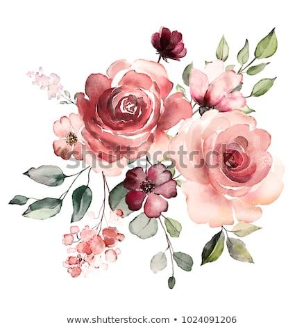 decorative watercolor flowers. floral illustration, Leaf and buds. Botanic composition for wedding or greeting card. branch of flowers - abstraction roses, romantic - buy this illustration on Shutterstock & find other images. Akvarel Illustration, Free Watercolor Flowers, Watercolor Bouquet, Pink Wedding Flowers, Watercolor Flower Art, Cat Air, 수채화 그림, Floral Illustration, Watercolor Flowers Paintings