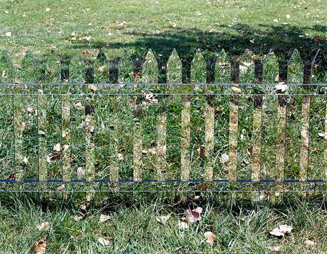 These Mirrored Fences Camouflage Themselves According To The Seasons Invisible Fence Ideas, Fir Pit, Coastal Backyard, Security Design, Storm King Art Center, Invisible Fence, Fence Art, White Picket Fence, King Art