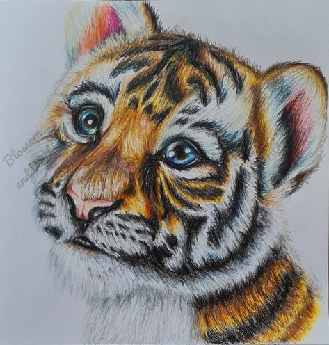 Animal Color Pencil Drawings, Colour Pencil Art Drawings Creative, Beautiful Birds Drawing Colored Pencils, Coloured Pencil Animal Drawings, Realistic Animal Colored Pencil Drawings, Animal Eye Drawing Colored Pencils, Coloured Drawings, Tiger Color Pencil Drawing, Anime Drawings For Beginners