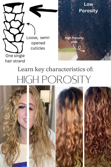 Learn life changing characteristics about high porosity hair care, how to start a curly hair regimen and what type of products will work best for your curls Styles For Long Curly Hair, High Porosity Hair Regimen, Curly Hair Regimen, Healthy Curly Hair, Long Curly Hairstyles, High Porosity Hair, Frizz Free Curls, Curly Hair Problems, Curly Hair Types