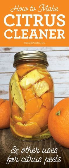 Don't waste citrus peels! Make DIY citrus vinegar cleaners with orange peels, extracts, cat repellants, Vitamin C powder, citrus peel jewelry. CanningCrafts.com #DIYcleaner #citrus #nowaste #zerowaste #homesteading Orange Peel Vinegar, Orange Cleaner, Citrus Cleaner, Infused Vinegars, Vinegar Cleaner, Helpful Hacks, Orange Peels, Cold Sores Remedies, Homemade Cleaning