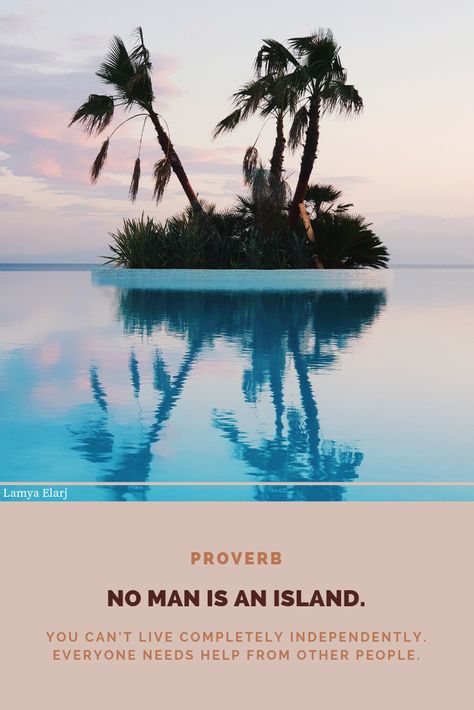 No Man Is An Island, English Proverbs, Island Quotes, True Quotes About Life, Quotes Thoughts, Success Motivation, True Life, Entrepreneur Quotes, Business Person