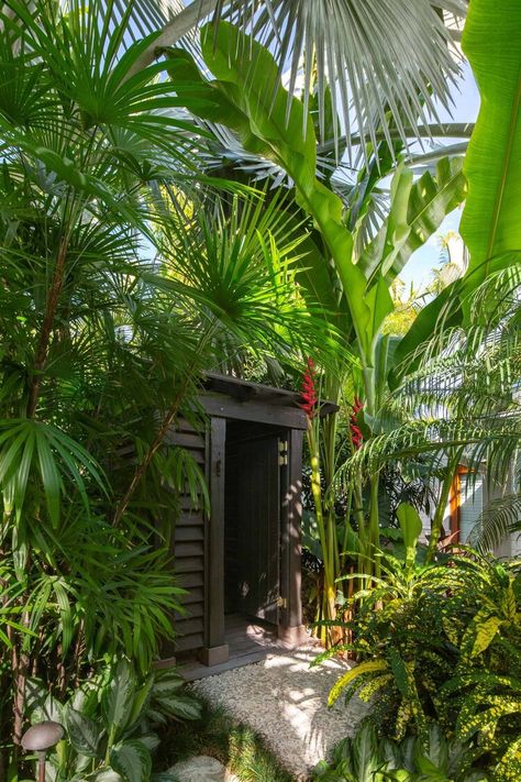 Tropical Pathway, Tropical Pool Landscaping, Tropical Backyard Landscaping, Small Tropical Gardens, Bali Garden, Garden Goddess, Tropical Landscape Design, Tropical Garden Design, Jungle Gardens