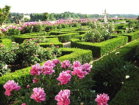 Rose garden, Boboli gardens, Florence, Italy - The Culture Map One Day In Florence, Boboli Gardens, Tattoo Plant, Formal Garden, Most Beautiful Gardens, Italian Garden, Formal Gardens, English Garden, Florence Italy