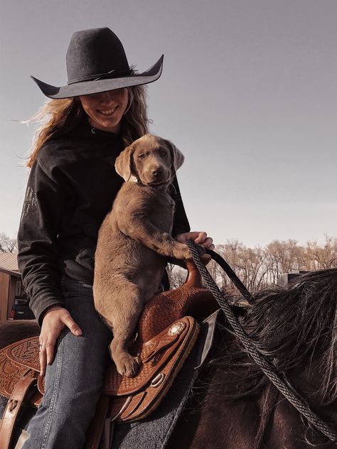 Heartland Aesthetic, Horse And Rider Photography, English Horses, Fun Activites, Foto Cowgirl, Western Photoshoot, Country Fits, Cowgirl Pictures, Western Fits