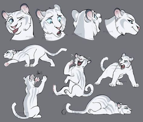 Bluemoon Model Sheet by Nightrizer on DeviantArt Feline Reference, Tiger Character, Warrior Cat Drawings, Full Of Energy, Lion King Art, Big Cats Art, Warrior Cats Art, Model Sheet, Creature Drawings