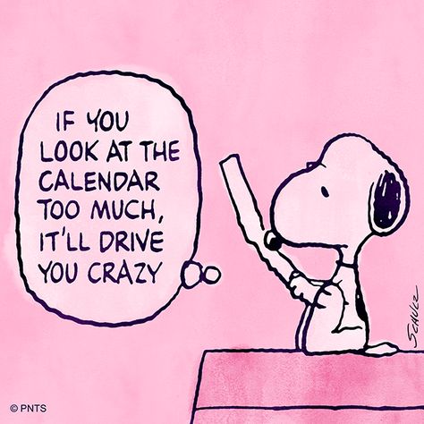 PEANUTS on Twitter: "What day is it anyway?… " Snoopy Calendar, Snoopy Funny, Peanuts Characters, Snoopy Quotes, What Day Is It, The Peanuts, Thought Provoking Quotes, Charlie Brown And Snoopy, Peanuts Gang