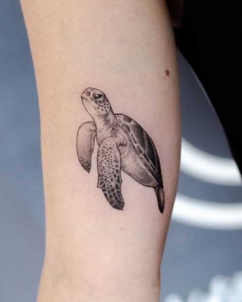 Turtle Tattoo For Men, Cute Turtle Tattoo, Small Turtle Tattoo, Ocean Theme Tattoos, Tortoise Tattoo, Marine Tattoo, Turtle Tattoos, Tato Minimal, Woodcut Tattoo