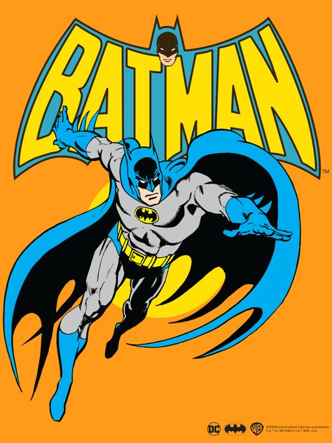 80s Cartoon Shows, Batman Detective Comics, Batman Tv Show, Batman Costumes, Batman Comic Books, Batman 1966, Batman Pictures, Batman Poster, Dc Comics Superheroes