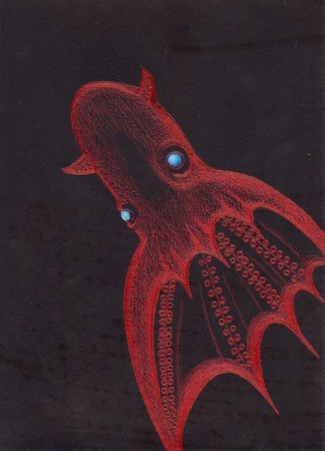 Vampire Squid Deep sea Mysterious living things My illustration :) Vampire Octopus, Deep Sea Creatures Art, Deep Sea Squid, Squid Drawing, Oc Cosplay, Vampire Squid, Squid Tattoo, Sea Creatures Art, Deep Sea Creatures